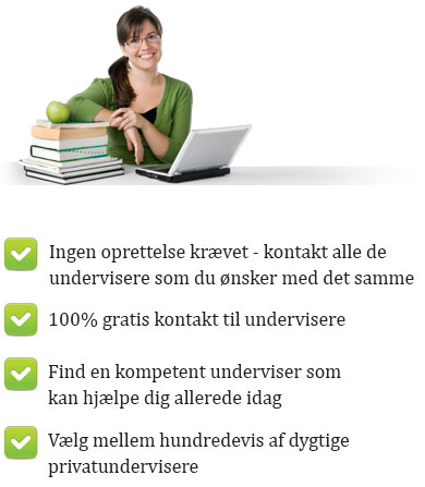 Privatlærer og lektiehjælp job